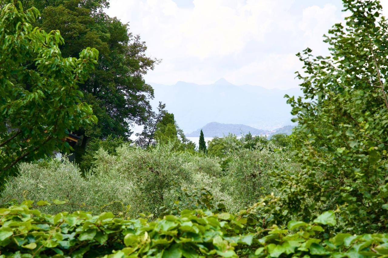 Hotel Diffuso Il Portichetto Vezio Perledo Εξωτερικό φωτογραφία